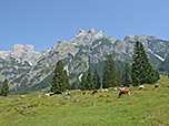 Blick zum Eiskogel...