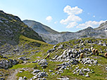 ...und biegen dort rechtshaltend Richtung Eiskogel ab