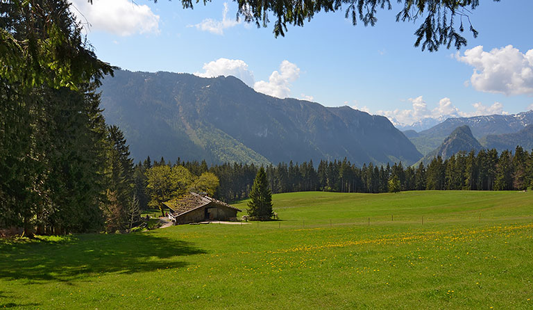 Teisenberg (1333 m) und Stoißer Alm von Adlgaß via Bäckeralm