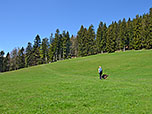 ...und wandern über einen Wiesenweg hinauf zum Waldrand