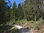 ...und machen uns an den Weiterweg zur Stoißer Alm