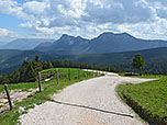 Für den Rückweg schlagen wir den Forstweg...