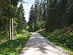 Weiter geht es über den Fahrweg...