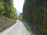...zum Großwaldbach, dem wir zurück nach Adlgaß folgen