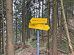...treffen wir auf den Weg, der von Feilenreit herauf führt