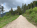 ...und mündet wiederum in einem breiten Forstweg