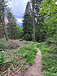 ...und folgen diesem hinunter zum Parkplatz an der Farnbichlalm