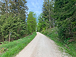 ...erreichen wir einen Forstweg...