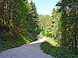 ...treffen wir auf einen Forstweg, ...