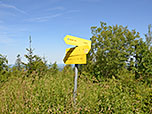 Wir treffen auf den Weg, der von Neukirchen herauf führt...