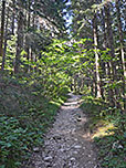 ...und gehen geradeaus weiter