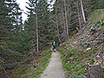 Wir durchwandern ein Waldstück