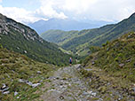 Von der Hütte leitet uns ein Karrenweg hinunter...