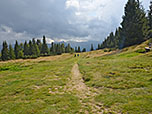 Vom Weiher wandern wir zurück...