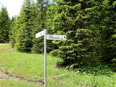 ... weiter Richtung Kühalm.