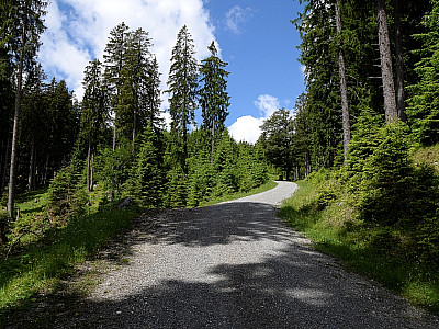 Der Wer auf dem breiten Fahrweg zieht sich etwas, ... 