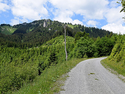... aber immerhin ist unser Ziel nun schon in Sicht.