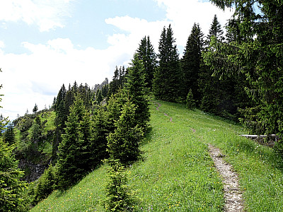 Der Steig schwenkt nach Süden und ... 