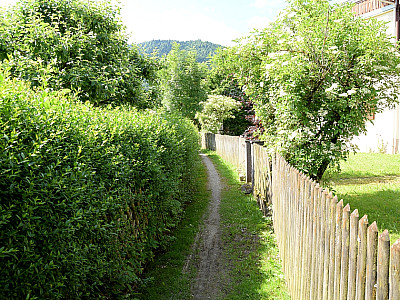 Am Ende des Klammwegs führt uns ein Fußweg weiter
