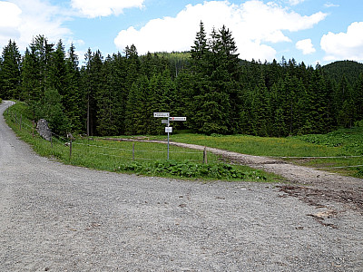 Hier wechseln wir auf den Weg rechts