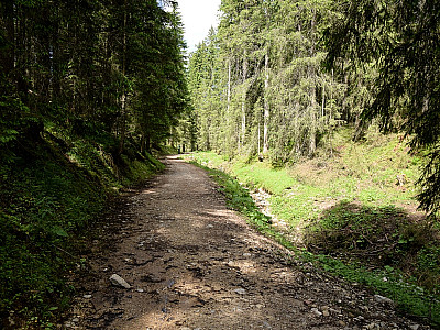 Entlang eines Baches steigen wir nach Norden weiter ab