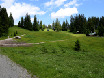 Links der Kühalm wechseln wir auf den kleinen Pfad