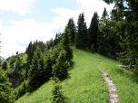 Der Steig schwenkt nach Süden und ...