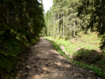Entlang eines Baches steigen wir nach Norden weiter ab