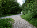 ...wieder auf den breiten Fahrweg treffen