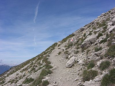 Über schottrige Pfade...
