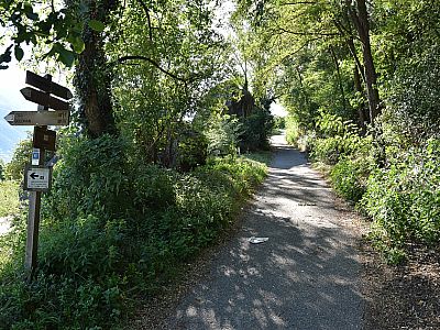 Wir spazieren etwa 40 Meter die Straße hinauf, ... 