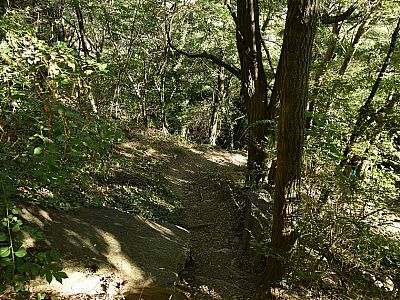 Ein Pfad führt uns zurück zum Parkplatz mit dem markanten Felsklotz