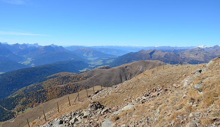 Toblacher Pfannhorn (2663 m)