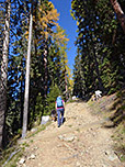 ...und folgen dem steilen Karrenweg Richtung Bonner Hütte