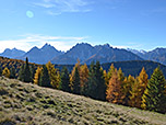 Wir lassen den Bergwald hinter uns...