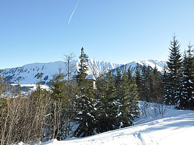 Blick zurück auf den Bergrücken