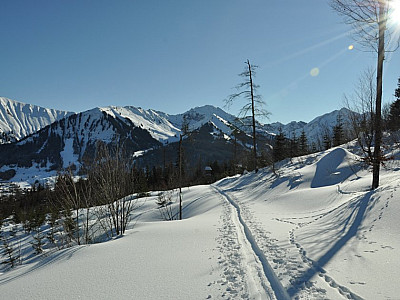 Wieder der Blick auf die hier flache Aufstiegsspur
