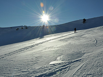 Wir erreichen den Rücken des Oberen Gottesacker