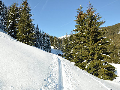 Die Spur führt uns an zwei kleinen Hütten vorbei