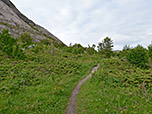 Über den Pfad wandern wir am Torghatten vorbei...