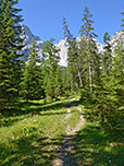 Es folgt ein weiteres Waldstück