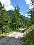 Wir verlassen das Tal über einen breiten Forstweg