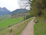Der Wald zieht sich zurück