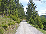...und schließlich dem breiten Forstweg Richtung Toter Mann
