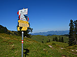 Am Sattel zwischen Trainsjoch und Ascherjoch