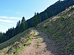 ...und folgen einem Karrenweg steiler hinauf...