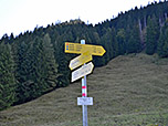 ...zu einer Kreuzung