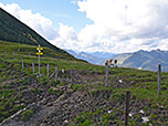 Nach knapp 2 Stunden erreichen wir den Fellalm-Sattel