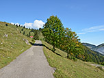Über einen geteerten Weg...