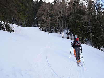 Recht gemütlich steigen wir nach Süden auf